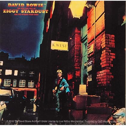 David Bowie (Ziggy Stardust) Sticker