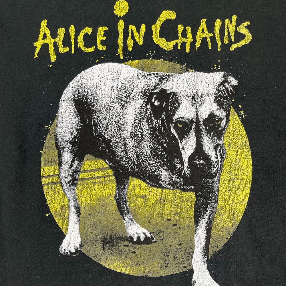 Alice In Chains