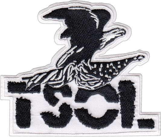T.S.O.L. - Eagle and Flag Logo Patch