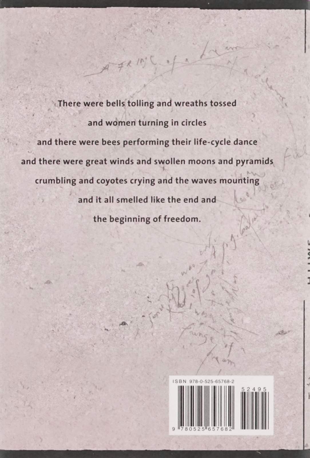 Book - Smith, Patti "Year Of The Monkey"